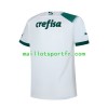 Maillot de Foot Palmeiras Exterieur 2023/24